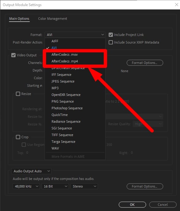 Aftercodecs inside After Effects Format Menu